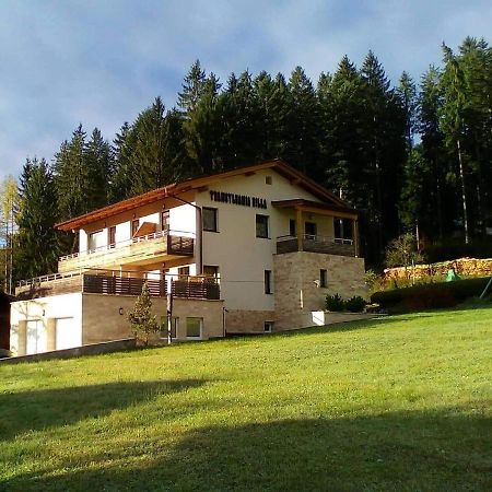 Transylvania Villa & Spa Gosau Bagian luar foto